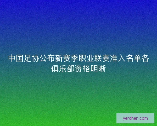 中国足协公布新赛季职业联赛准入名单各俱乐部资格明晰